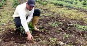 Foto_Lara aventaja en número de títulos de tierras adjudicados por el Plan Cayapa INTi